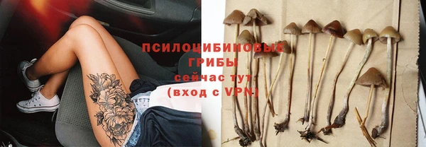 трава Абаза