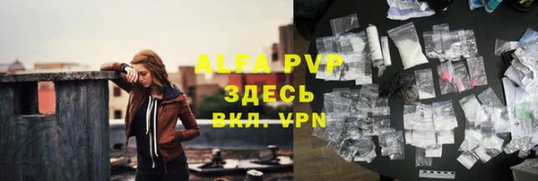 стаф Абинск