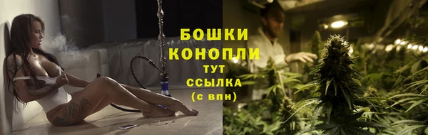 трава Абаза