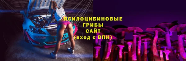 стаф Абинск