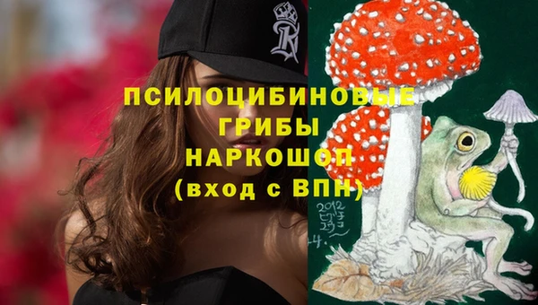 ешки Абдулино