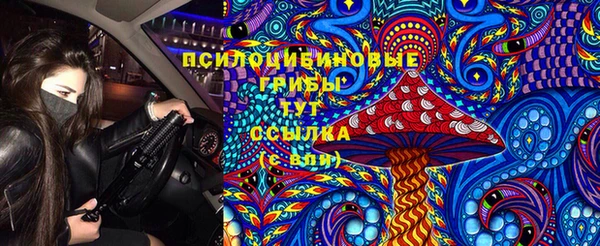 трава Абаза